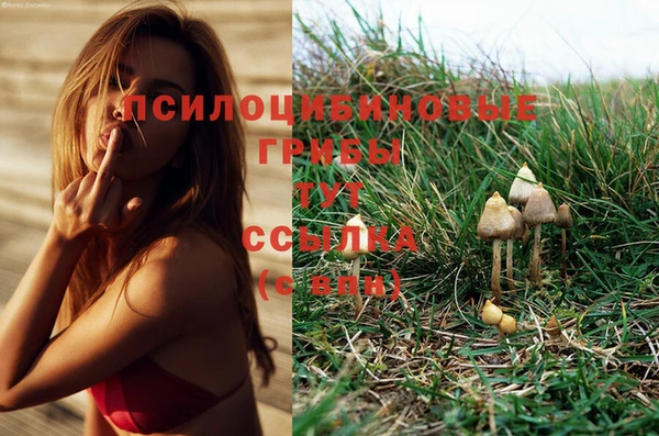 дмт Красноперекопск