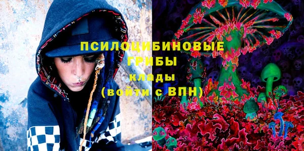 прущий лед Краснослободск