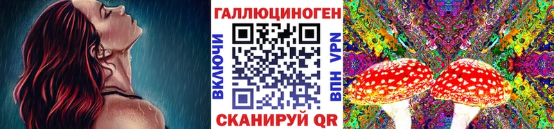 Галлюциногенные грибы Psilocybe  Чулым 